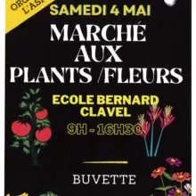 Asparel - Marché plants et fleurs